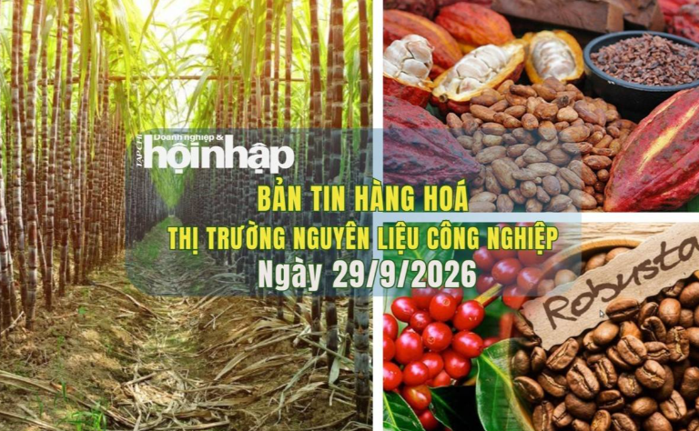 Thị trường nguyên liệu công nghiệp 29/9/2026: Cà phê phục hồi, dầu cọ giảm nhẹ